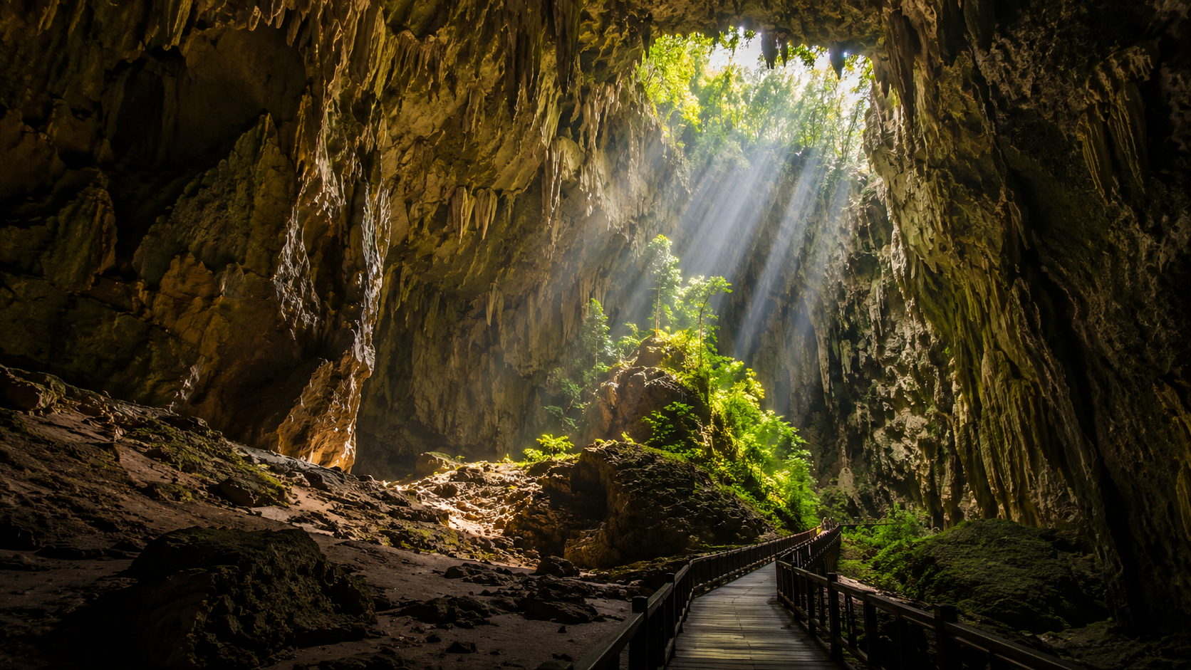 Mulu Caves, Sarawak