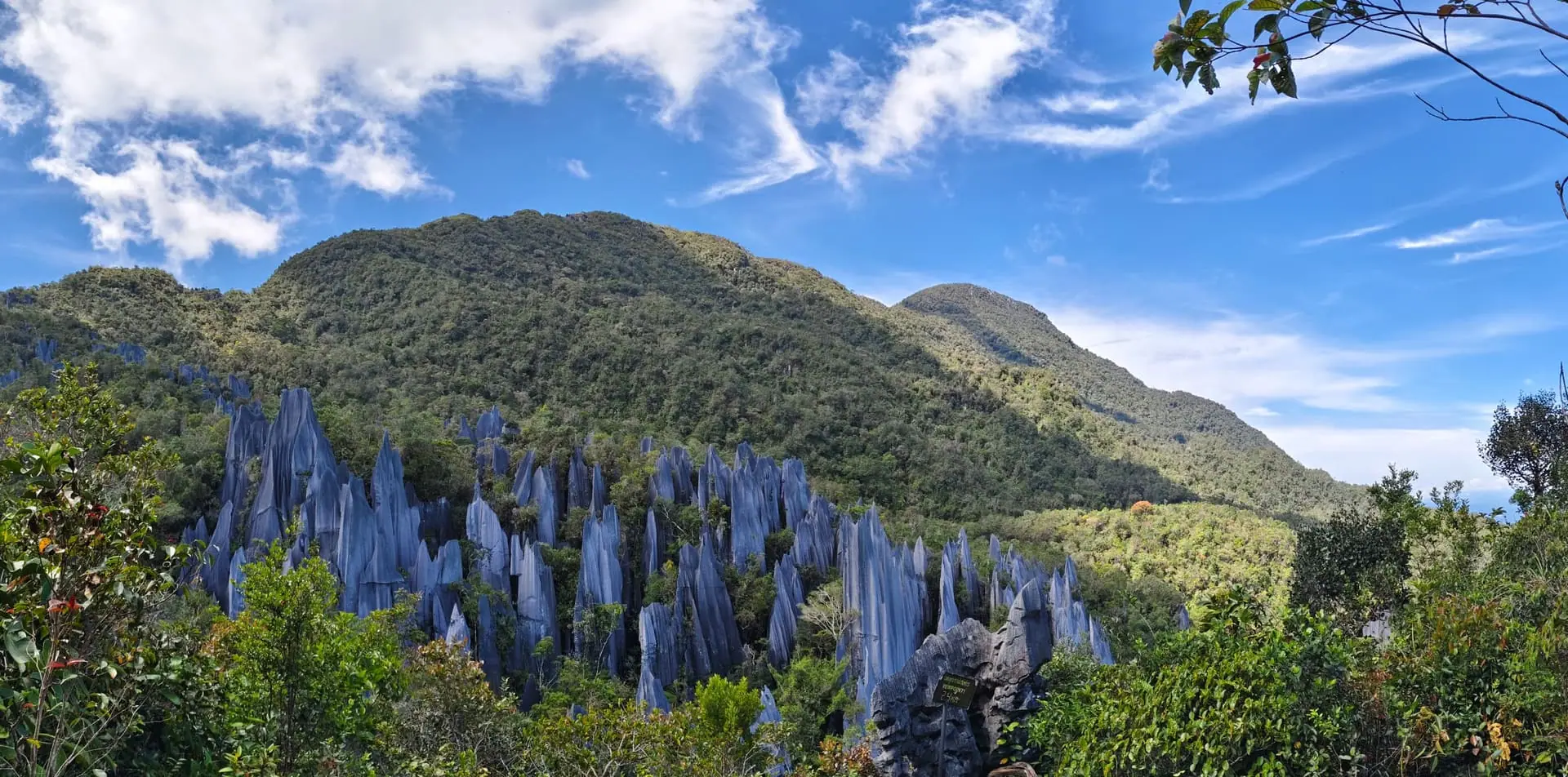 Mulu Caves, Sarawak